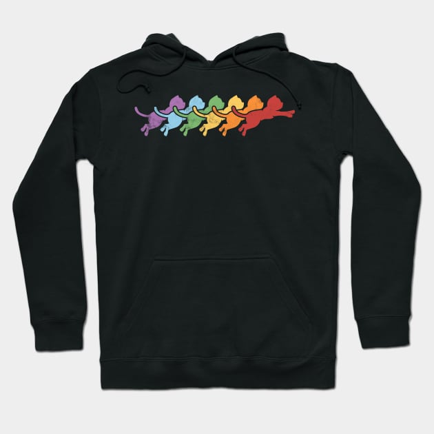 Rainbow Cat Jump Hoodie by BignellArt